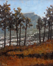 Willie Steyn